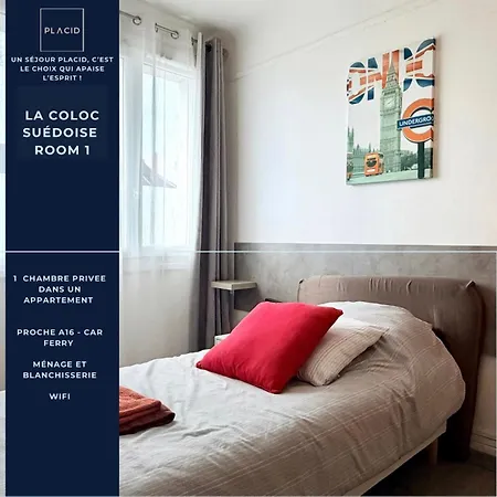 La Coloc Suedoise *