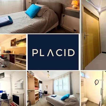 La Coloc Suedoise Calais