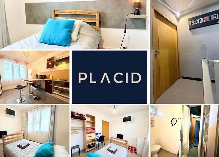 La Coloc Suédoise Calais